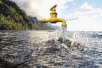 Trinkwasser - läuft ! Gesuch 39877 Bild 1